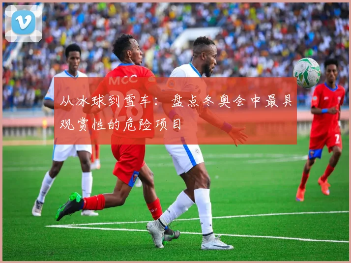 从冰球到雪车：盘点冬奥会中最具观赏性的危险项目